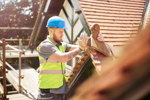 Best Roof Gutter Cleaning  in Milmay, NJ